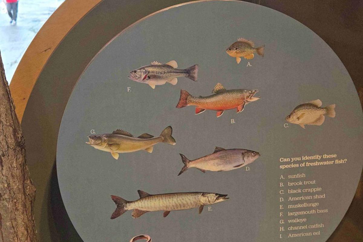 NJDEP Fishing & Wildlife Exhibit