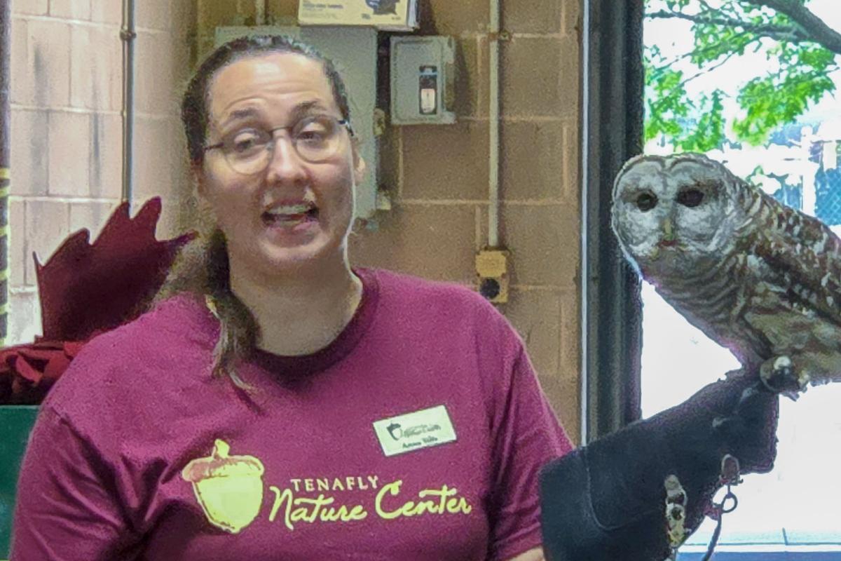 Tenafly Nature Center Barred Owl
