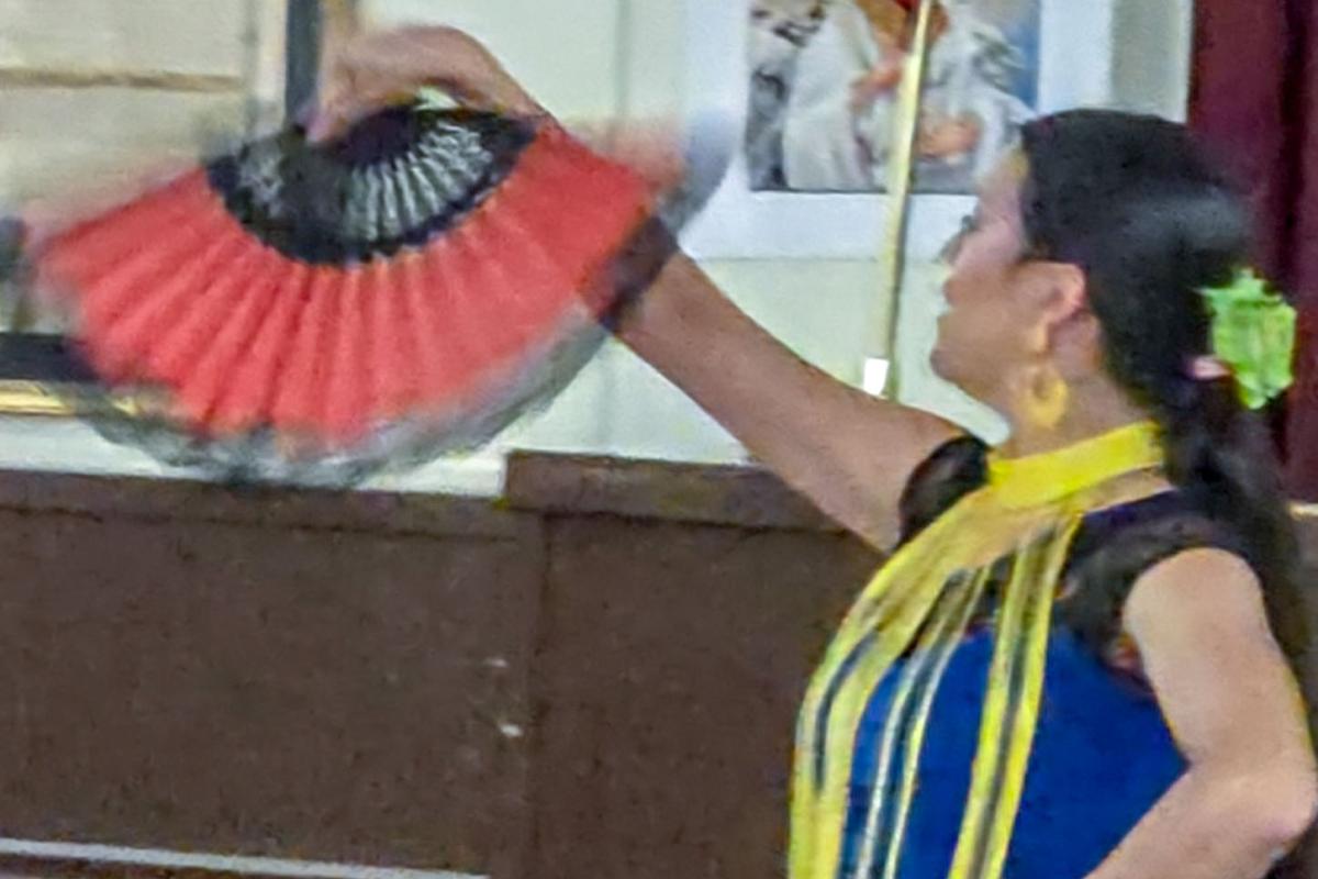 Flamenco Dancer Fans it!!!