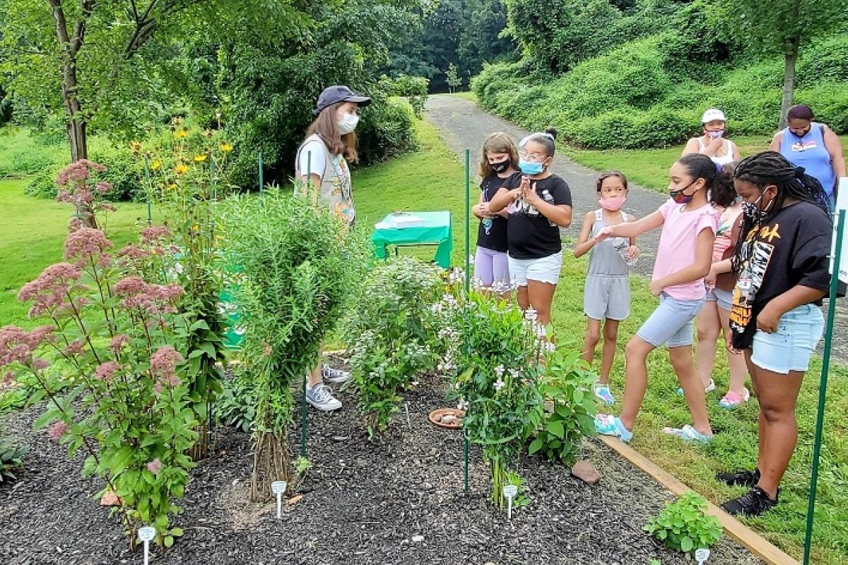 Gianna Terrarosa  teaches  fellow Girl Scouts about the pollinator garden
