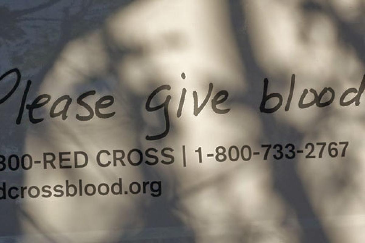 Please Give Blood Image