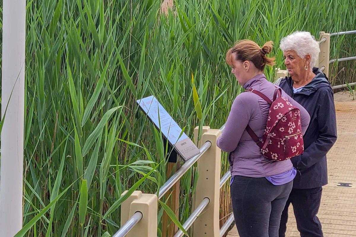 Residents touring the Nature Preserve take the time to Read Interpretive  Signs