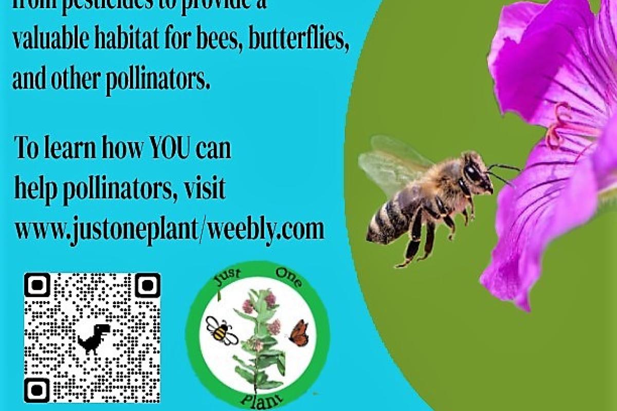 Pollinator Garden Information Sign