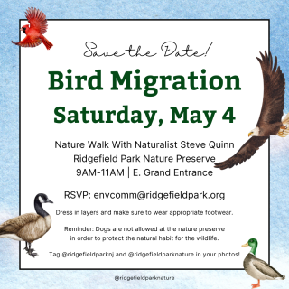 Bird Migration - Nature Walk Sat. May 4