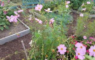 McGowan Park Community Garden