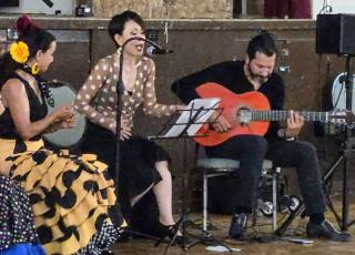 Ivan Max Flamenco Performance at 2025 Summer Concert Series
