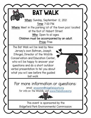 Bat Walk Information Sheet
